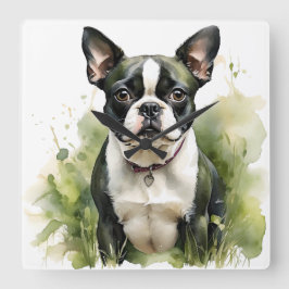 ZWART-WIT WATERVERF BOSTON TERRIER DOG VIERKANTE KLOK