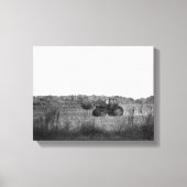 Zwart-wit werken in Cornfield 11x14 Canvas Afdruk (Voorkant)
