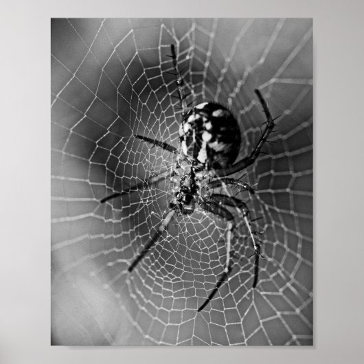 Zwart-Wit Wielspinspin Poster (Voorkant)