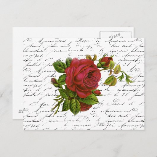  zwart-wit witte Typografie Red Rose Briefkaart (Voorkant / Achterkant)
