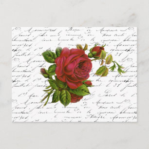 zwart-wit witte Typografie Red Rose Briefkaart