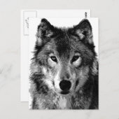 Zwart & Wit Wolf Portret Briefkaart (Voorkant / Achterkant)