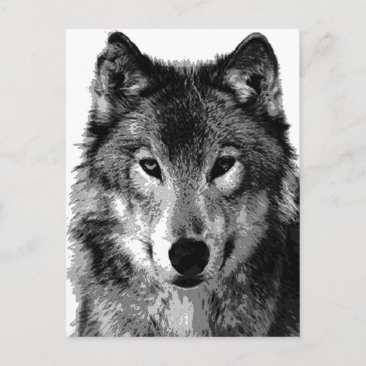 Zwart & Wit Wolf Portret Briefkaart (Voorkant)