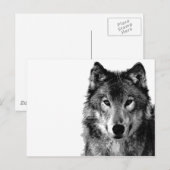 Zwart & Wit Wolf Portret Briefkaart (Voorkant / Achterkant)