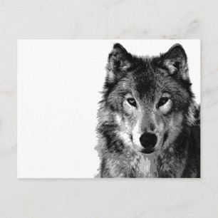 Zwart & Wit Wolf Portret Briefkaart