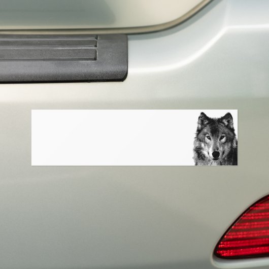 Zwart & Wit Wolf Portret Bumpersticker (Op auto)