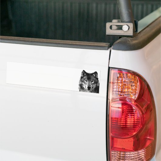 Zwart & Wit Wolf Portret Bumpersticker (Op Truck)