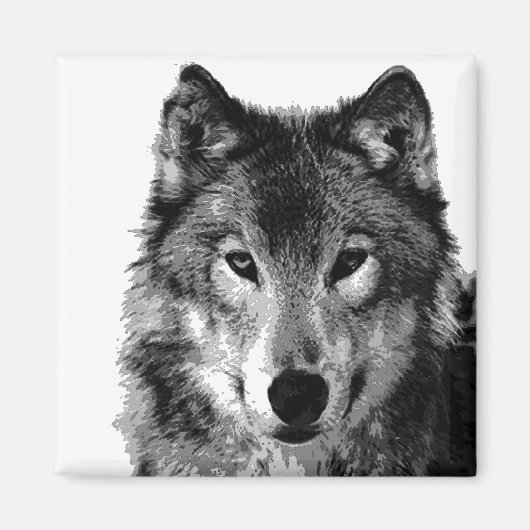 Zwart & Wit Wolf Portret Magneet (Voorkant)