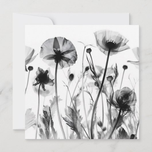 Zwart & Wit X-Ray Wildbloemen (Voorkant)