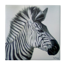Zwart-wit zebra-portret