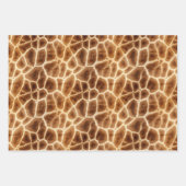 Zwart Wit Zebra Print Dierensafari Inpakpapier Vel (Voorkant 2)