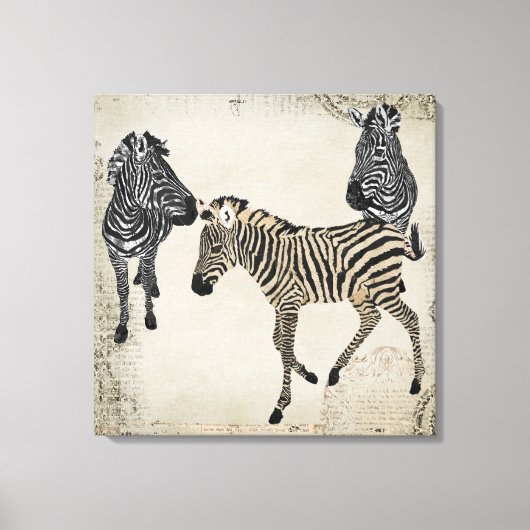  Zwart & Wit Zebra Trio Canvas Afdruk (Voorkant)