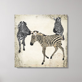  Zwart & Wit Zebra Trio Canvas Afdruk