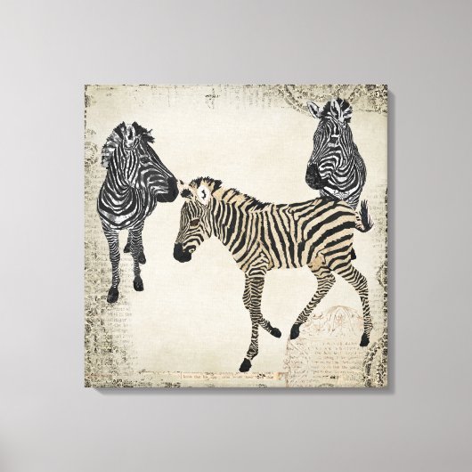 Zwart & Wit Zebra Trio Canvas Afdruk (Voorkant)