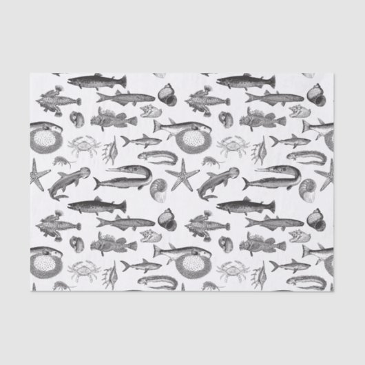 zwart-wit Zee - Scheppen Tissuepapier (Voorkant)