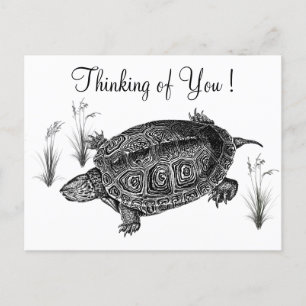 Zwart-wit Zee Turtle Denken aan jou Briefkaart