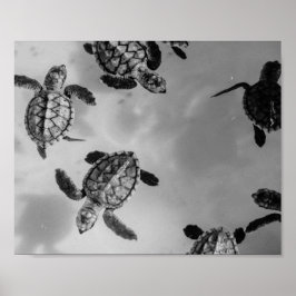 Zwart-wit Zee Turtle Tropical Printable Art Poster