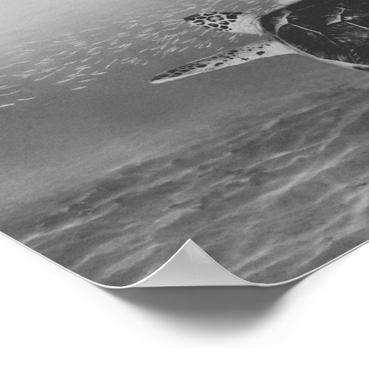 Zwart-wit Zee Turtle Tropical Printable Art Poster (Hoek)