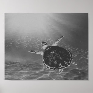 Zwart-wit Zee Turtle Tropical Printable Art Poster