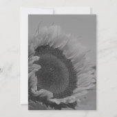 Zwart-Wit Zonnebloem Feest Kaart (Achterkant)