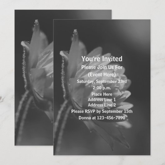 Zwart-Wit Zonnig Bloemenfeest Kaart (Voorkant / Achterkant)