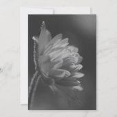 Zwart-wit zonovergoten bloemenfeest kaart (Achterkant)