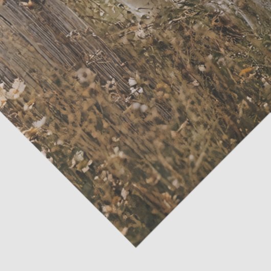 Zwart-wit zuivel Koe Decoupage Tissuepapier (Detail)