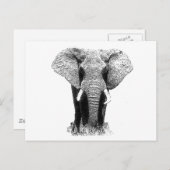 Zwart-witachtig olifant briefkaart (Voorkant / Achterkant)