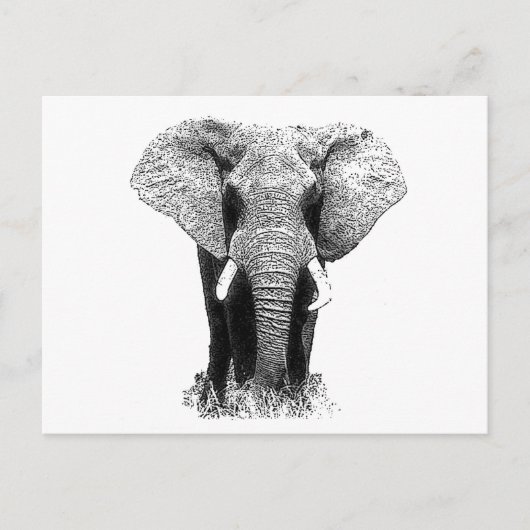 Zwart-witachtig olifant briefkaart (Voorkant)