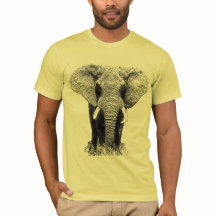 Zwart-witachtig olifant