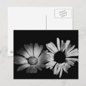 Zwart-witbloemen Briefkaart (Voorkant / Achterkant)