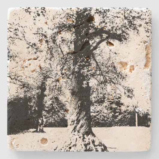 Zwart-witboomlandschap Stenen Onderzetter (Voorkant)