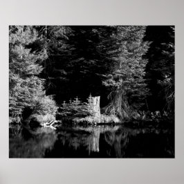 Zwart-witboomstronk reflecterend in water 16x20 poster