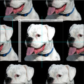 Zwart witboxer-katoenstof stof (Delen)