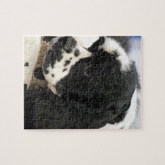 Zwart-witCocker Spaniel Puzzle Legpuzzel (Horizontaal)