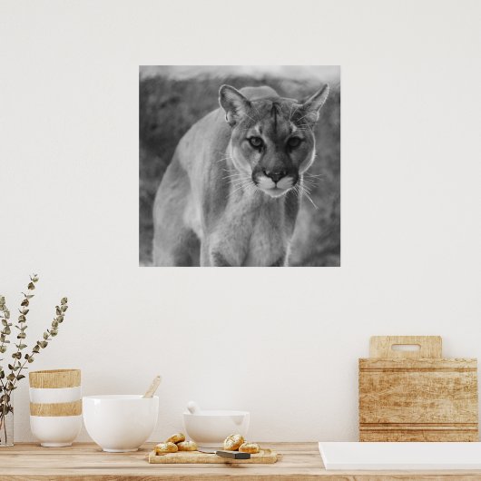 Zwart-witcoupaar Poster (Keuken)