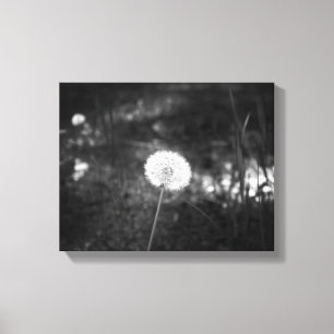 Zwart-witdeandelion in de Bossen 11x14 Canvas Afdruk