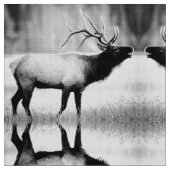 Zwart-witElk Stof (Close Up)