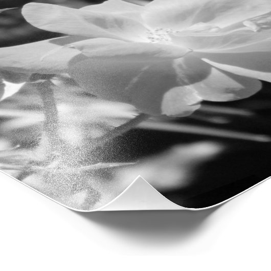 Zwart-witfoto afdrukken foto afdruk (Hoek)