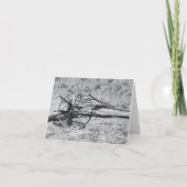 Zwart-witfoto Kaart (Voorkant)