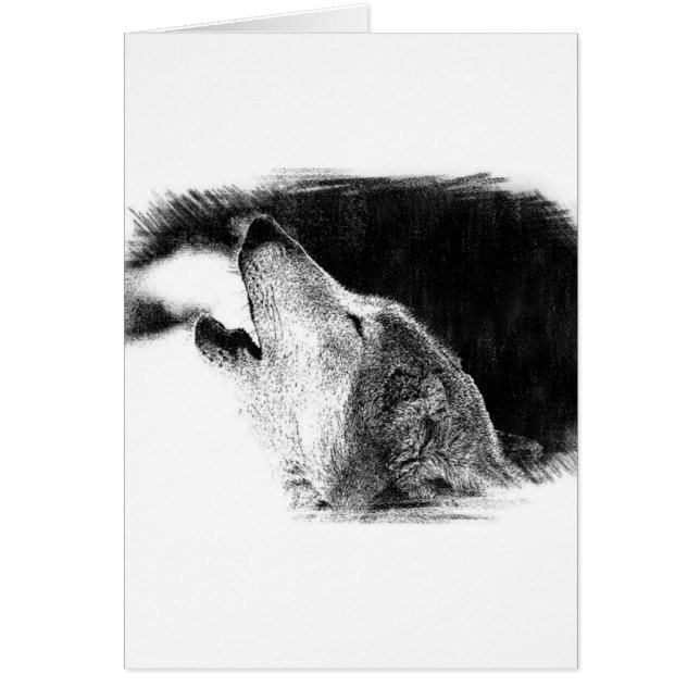 Zwart-witgrijs Wolf-schets (Voorkant)