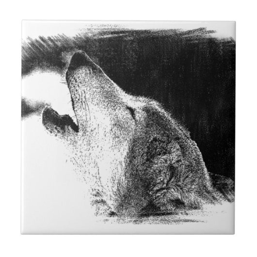Zwart-witgrijs Wolf-schets Tegeltje (Voorkant)
