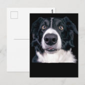 Zwart-withond Briefkaart (Voorkant / Achterkant)