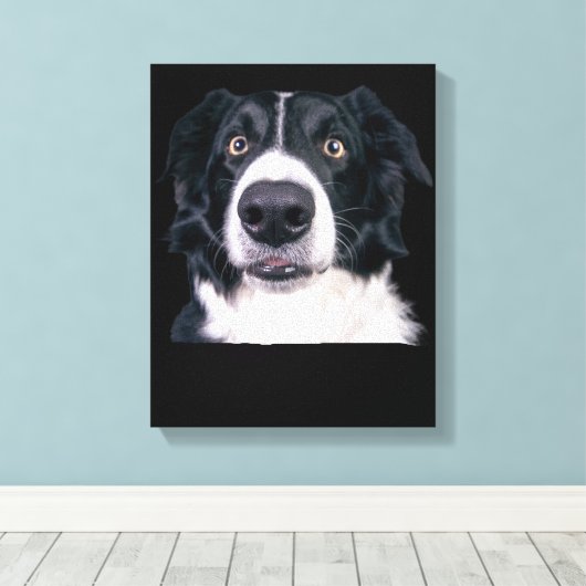 Zwart-withond Canvas Afdruk (Insitu (Houten vloer))