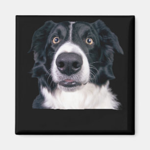 Zwart-withond Magneet