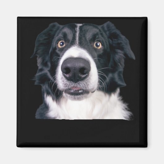 Zwart-withond Magneet (Voorkant)