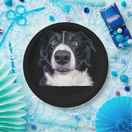 Zwart-withond Papieren Bordje (Feest)