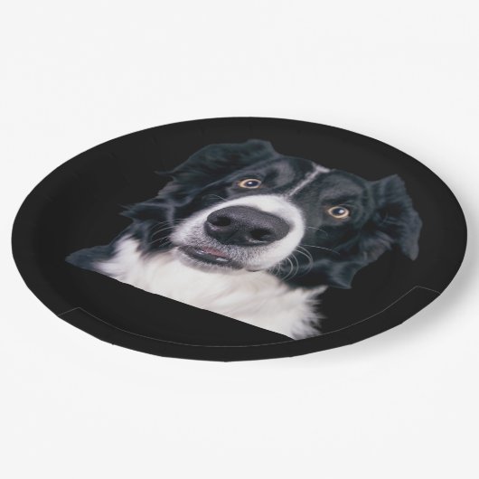 Zwart-withond Papieren Bordje (Gekanteld)