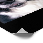 Zwart-withond Poster (Hoek)