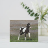 Zwart-witkanaaltje Briefkaart (Staand voorkant)